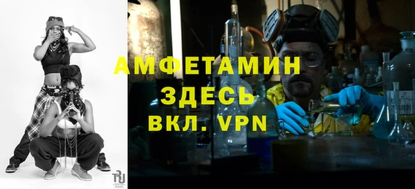 дмт Бородино