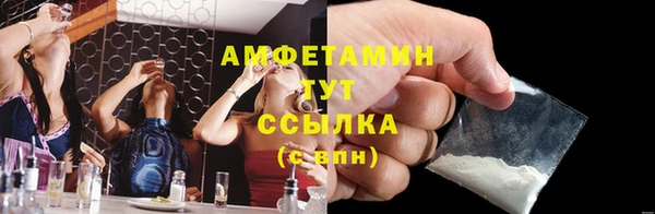 дмт Бородино