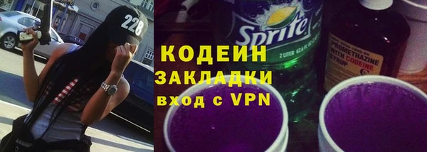 дмт Бородино