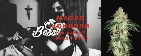 гидра Бронницы