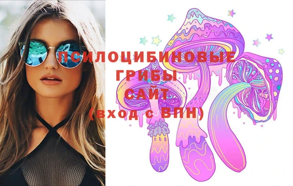 гидра Бронницы