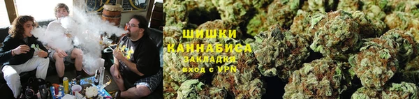 гидра Бронницы